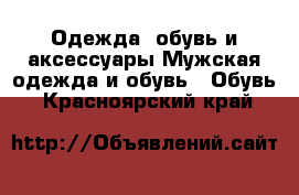 Одежда, обувь и аксессуары Мужская одежда и обувь - Обувь. Красноярский край